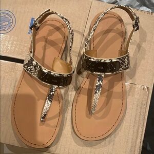 Women's Snakeskin Sandals